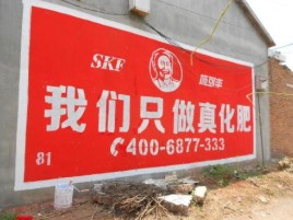 大足刷墙广告”蕴含了时代命题
