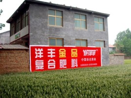 大足如何让墙体广告展现最大化效果