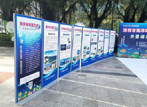 大足KT板的种类和知识。